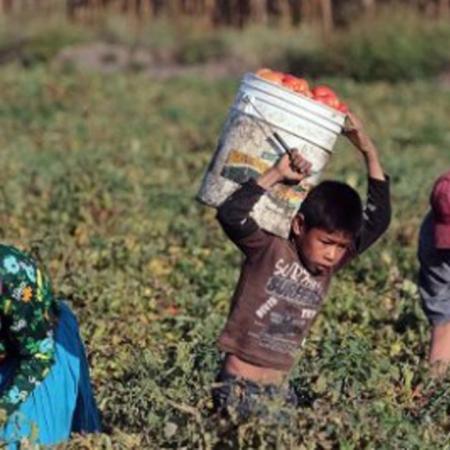 Trata laboral y explotación infantil en La Plata: investigan un predio con 100 personas