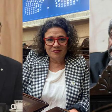 Diputados bajo la lupa: qué revela el informe sobre el uso real de sus vuelos