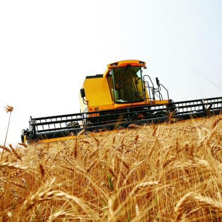 Molinos harineros y Agricultura chocan por el trigo disponible tras cosecha récord