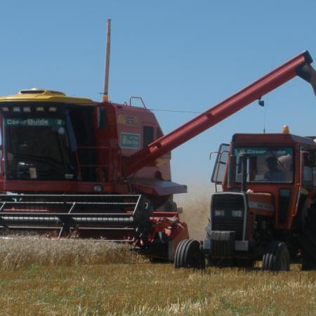 Baja de retenciones, Messi y el biodiésel y la interna en la SRA, en el podio del agro