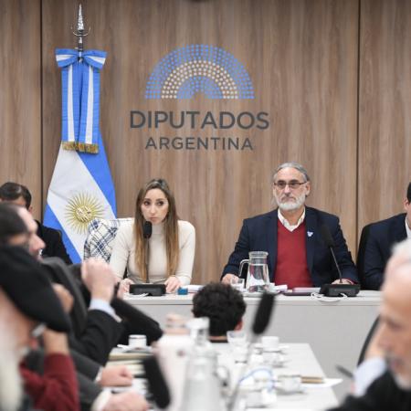 Cruce en Diputados entre productores y el oficialismo por la desregulación del INYM