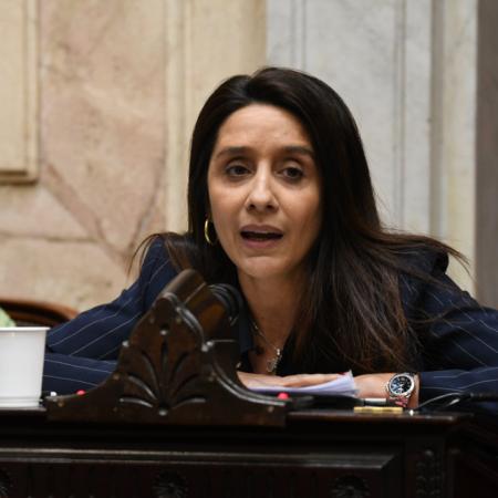 IOSFA, FF. AA., una muerte y "miseria": qué exigió Agustina Propato en Diputados