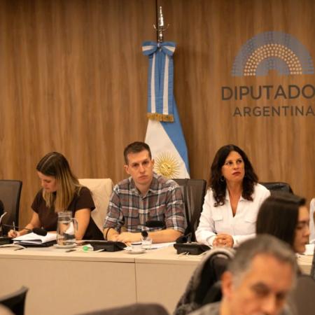 Qué incluye la ofensiva contra Lugones y por qué preocupa a miles de familias