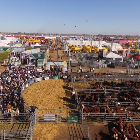Las razas ganaderas mostrarán todo su potencial en AgroActiva