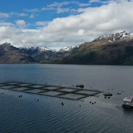 Cómo el cambio climático está alterando la pesca y la vida costera en Chile