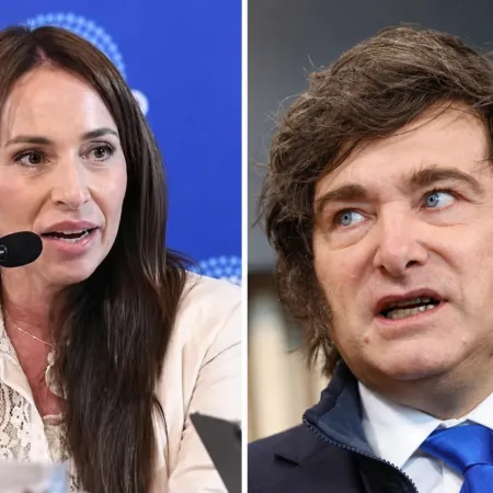 El caso Michelli escala: ahora investigan a Milei por presunta discriminación