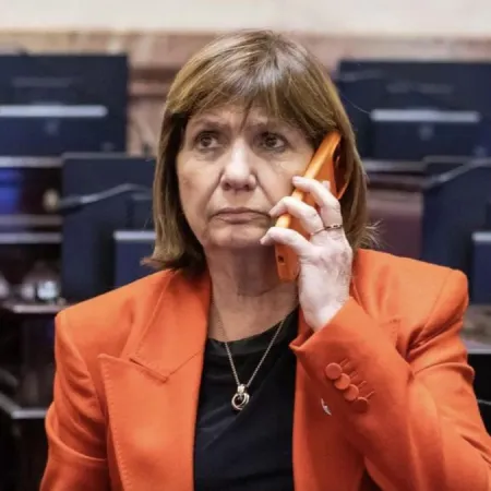 Patricia Bullrich le marca la cancha a Milei y gana tiempo en el Senado