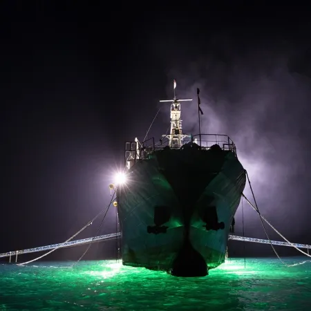 Pesca ilegal, USD 1.000 millones en juego y cárcel: qué llegó a Diputados