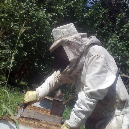 "Es algo que te refresca la vida": el desafío de producir miel en el AMBA