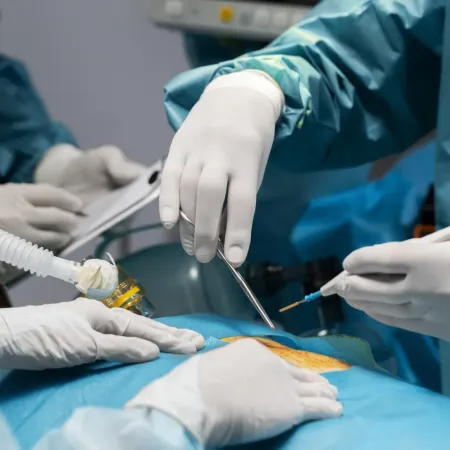 Entró por un dolor abdominal y murió horas después: qué pasó en una clínica de La Plata