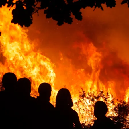 Del giro 2020 al proyecto de Milei: qué pasa con la Ley de Manejo del Fuego