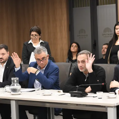 Qué implica el acuerdo en Diputados para leyes sobre ambiente, Mercosur y personas mayores