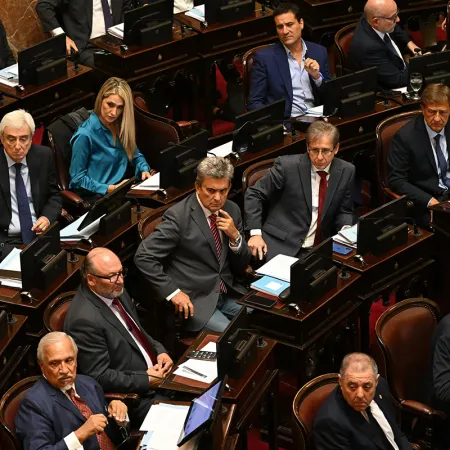 La pulseada por las PASO deja en pausa todo el paquete electoral en el Senado