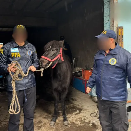 Rescataron aves exóticas y otros animales en una casa de Ciudad Evita