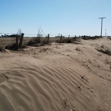 Benegas Lynch llamó "parásitos" a ingenieros que estudian el daño del suelo