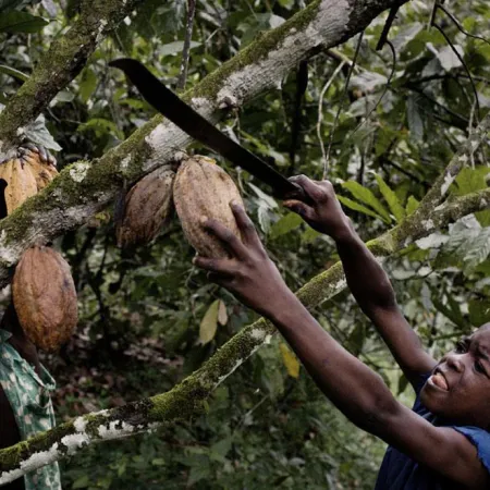 Día Mundial contra el Trabajo Infantil: dónde persiste el problema global