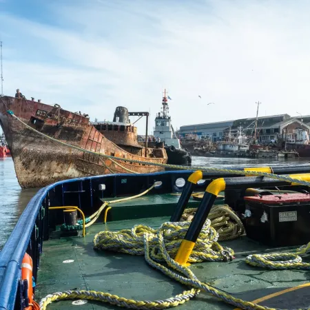 La pesca logró frenar una iniciativa nacional que alarmó a Mar del Plata