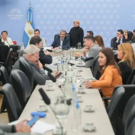 El costo y la promesa del Súper RIGI: por qué divide a oficialismo y oposición