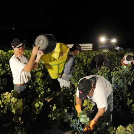 La nueva rutina europea por la ola de calor: trabajar de noche y cerrar escuelas