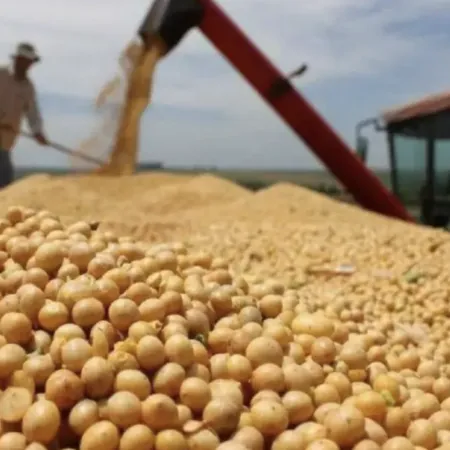 América Latina vuelve a quedar entre China y Estados Unidos: qué lugar ocupa Argentina en la disputa