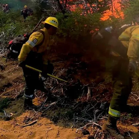 Tras 15 días de combate, logran contener el incendio que arrasó más de 200 hectáreas en Cafayate