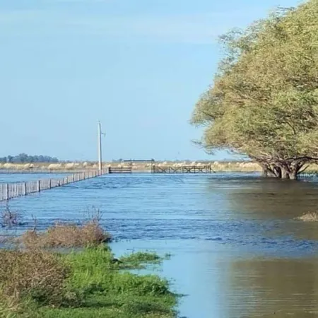 El Niño 2026: en qué consiste el plan preventivo para el campo bonaerense