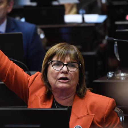 Michelli será jueza pese al veto de Milei: qué dijo y cómo votó Bullrich