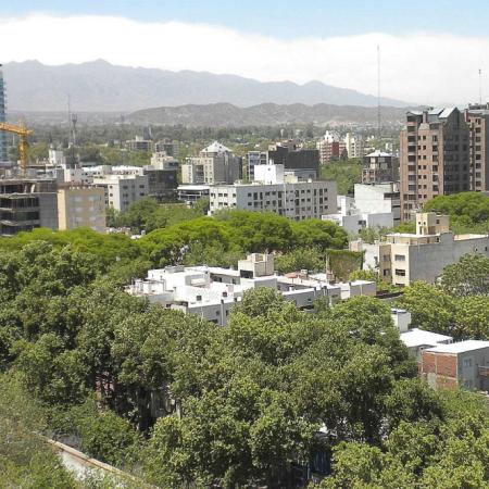 Día del Árbol: por qué son una herramienta clave para bajar la temperatura en las ciudades
