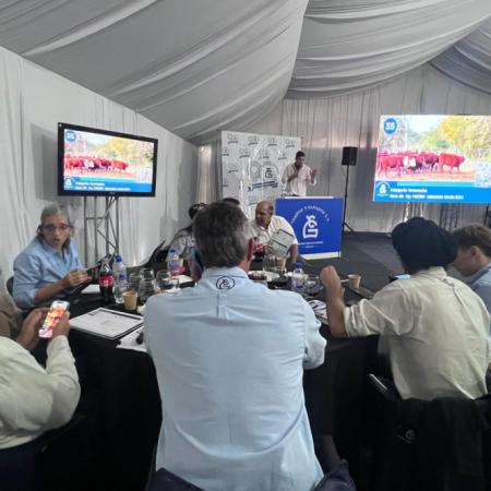 Agroactiva 2026 en Armstrong: Campos y Ganados remató 6.000 cabezas con firme demanda