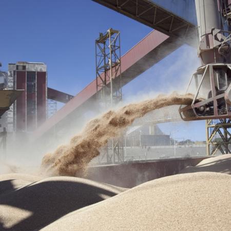 Soja y girasol: la molienda del Gran Rosario repunta y mejoran los números industriales