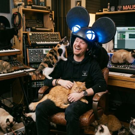 Deadmau5 financia vacunas y cuidados para 27 gatos que esperan adopción