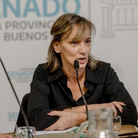 Multas de $80 millones por negacionismo en PBA: qué propuso Malena Galmarini