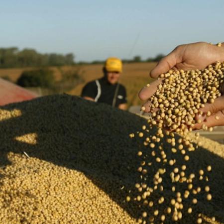 ACSOJA reunirá en Rosario a toda la cadena sojera para debatir producción, industria y mercados