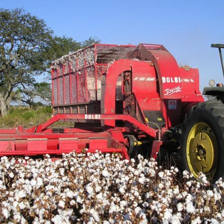 Paritaria del algodón: cuánto cobrarán los trabajadores desde septiembre