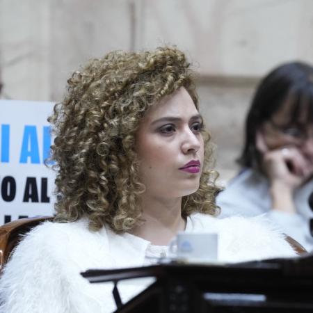 "Campaña anti-Argentina" y España: qué exigió Arrieta a Milei en Diputados