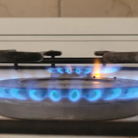 Servicio de gas en plena ola polar: qué dijo el Gobierno sobre los hogares