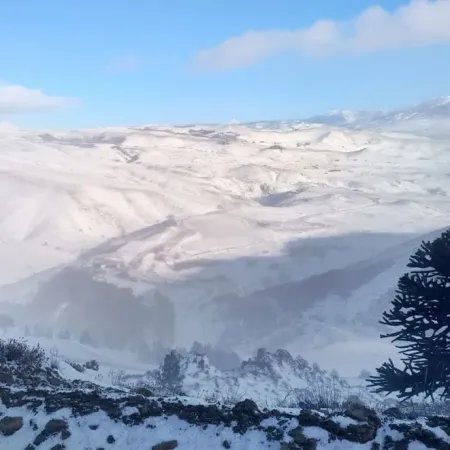 El temporal pone en alerta a Neuquén: despliegan un amplio operativo y piden evitar viajar