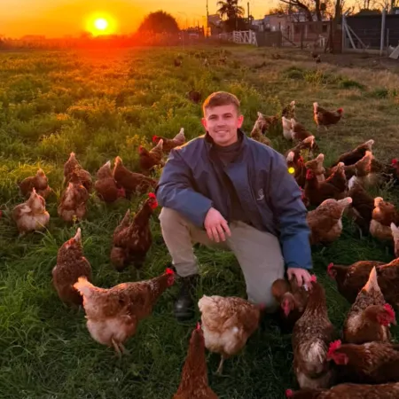 Perdió 80% de sus gallinas, se repuso y produce 300 huevos de campo por día