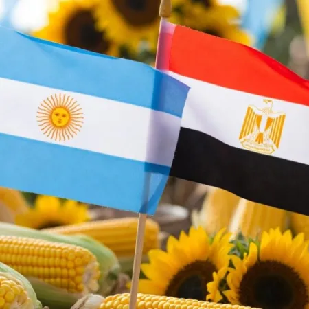 FMI y comercio exterior: el vínculo que une a Argentina y Egipto más allá del fútbol