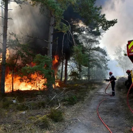 Incendio en Fontainebleau: dos detenidos y 1.300 hectáreas devastadas en Francia
