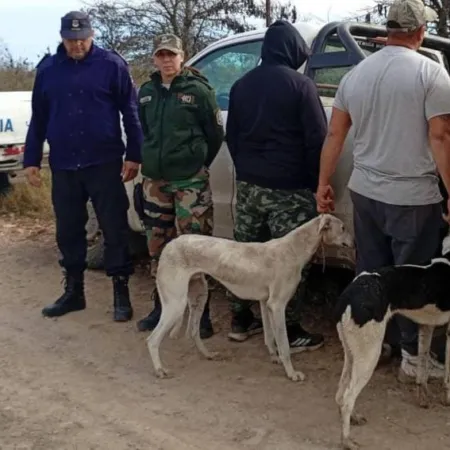 Buscan prohibir y endurecer penas por caza no autorizada en campos de PBA