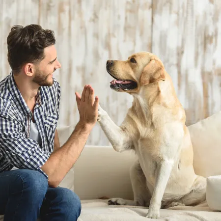 Un informe revela cómo actúa la ciencia detrás del vínculo entre humanos y mascotas