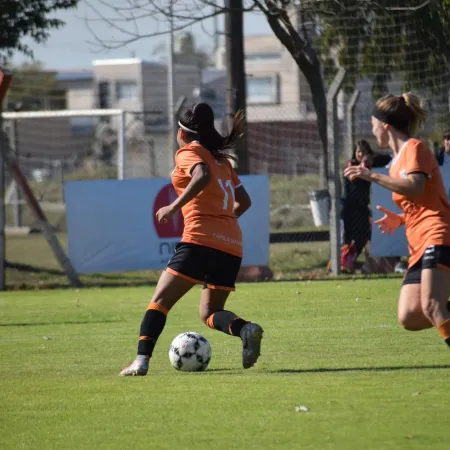 Entrenadores capacitados, salud mental y violencia: Diputados apura una ley para clubes