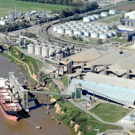 Récord agroindustrial: qué productos argentinos están ganando mercado en el exterior