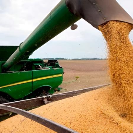 No fueron los precios: qué explica el fuerte crecimiento exportador del agro