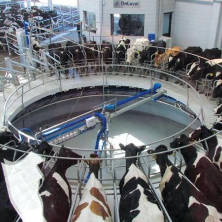 CREA advierte por la lechería: más producción, pero con deudas y precios bajos