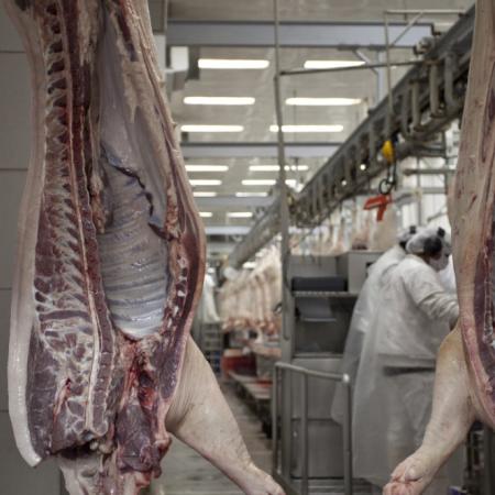 El dato que Agricultura oculta sobre las exportaciones de carne porcina