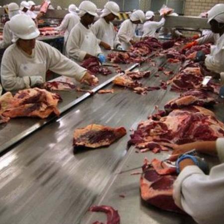 Récord histórico: Brasil exportó carne vacuna por USD 9.850 millones en seis meses