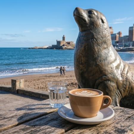 Mar del Plata Coffee Cup: la Feliz se convierte en capital del café de especialidad