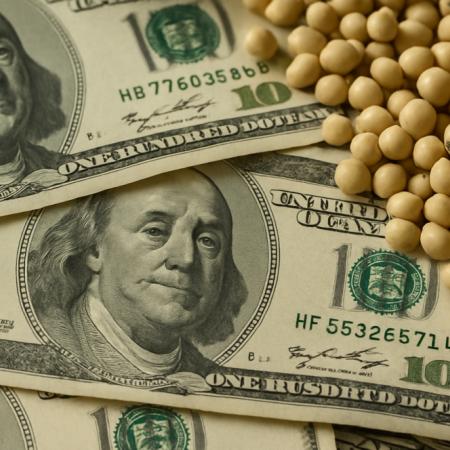Más dólares por cosecha de soja: proyectan exportaciones por USD 21.192 millones